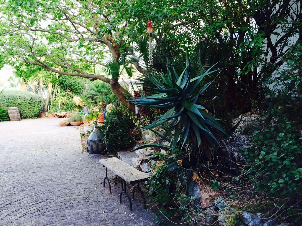 Villa Il Cappero San Vito Lo Capo Exterior photo